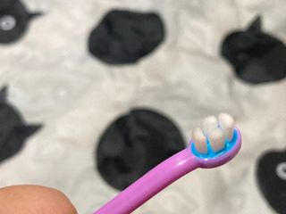 뚜블리님이 올린 리뷰 사진 2