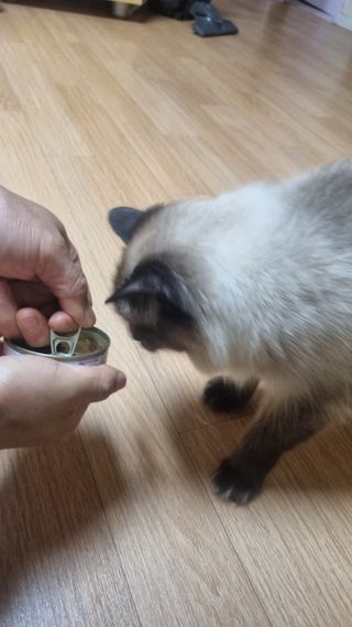 수민님이 올린 리뷰 사진 2