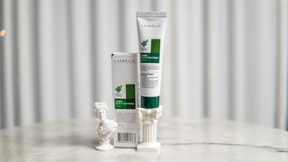 랑벨 랑바이오 블랙 시카 크림 50ml(블랙비 프로폴리스, 시카 4종, 판테놀 10 함유) — 5점을 준 리뷰어가 2022년 4월 올린 사용 사진