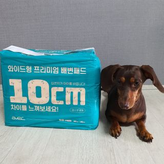 아베크 펫 와이드 프리미엄 대형 애견 강아지 배변 패드 30매 1팩 80g — 5점을 준 리뷰어가 2021년 7월 올린 사용 사진
