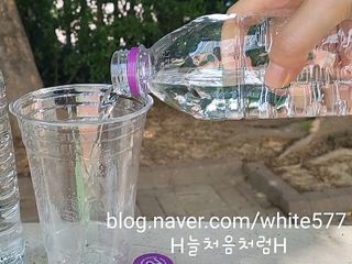몽베스트 [MONTBEST]위드어스 500mL 20병 — 5점을 준 리뷰어가 2022년 6월 올린 사용 사진