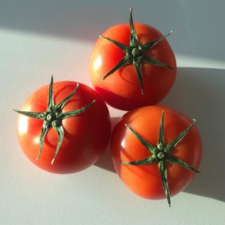레드닥터 완숙토마토 + 통째로 동결건조한 대추방울토마토 — 5점을 준 리뷰어가 2022년 12월 올린 사용 사진
