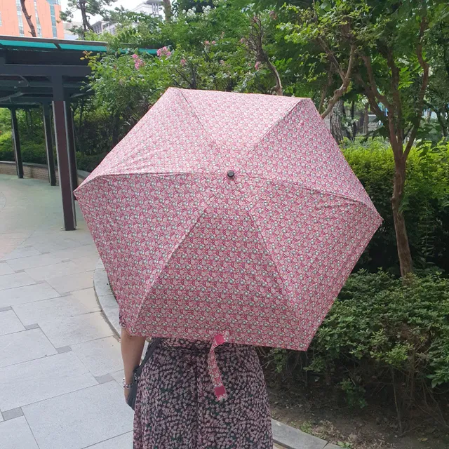 소옥 초경량 5단 암막 양우산 4종 리뷰 사진