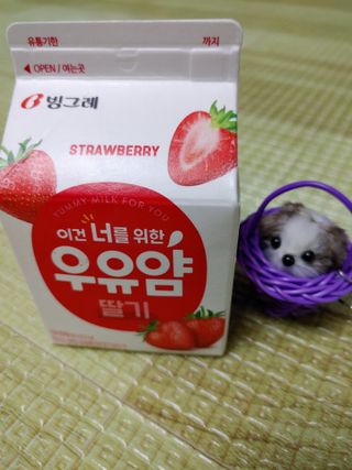 빙그레 우유얌 초코 / 우유얌 딸기 — 5점을 준 리뷰어가 2021년 4월 올린 사용 사진