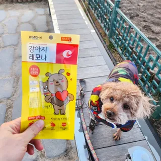 사랑해안시영님이 올린 리뷰 사진 2