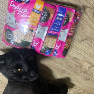 비타크래프트 포에시 델리스 고양이 파우치 85g 9가지맛 1팩씩 — 5점을 준 리뷰어가 2021년 8월 올린 사용 사진
