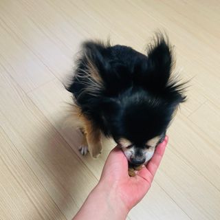 제나놀이터님이 올린 리뷰 사진 3