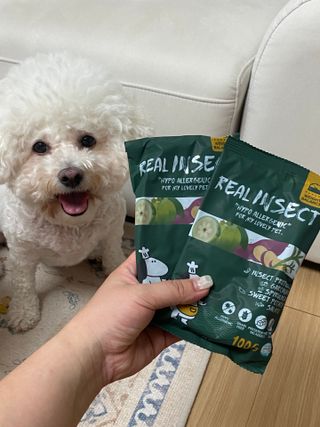 [푸디웜] 라포그  리얼인섹트 웨이트밸런스 저알러지 강아지 사료  1.2KG — 5점을 준 리뷰어가 2022년 7월 올린 사용 사진