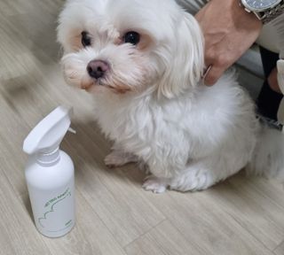 노지혜님이 올린 리뷰 사진 1