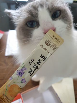 로크찡님이 올린 리뷰 사진 3