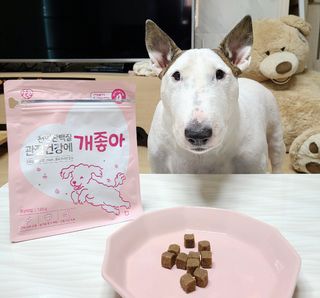 My Pet Care 천연단백질 관절건강에 개좋아 — 5점을 준 리뷰어가 2021년 3월 올린 사용 사진
