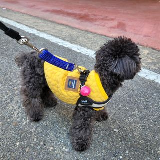 sooooo님이 올린 리뷰 사진 2