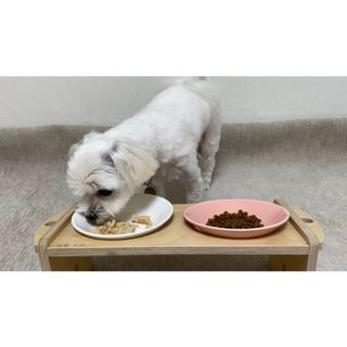 세빈님이 올린 리뷰 사진 3