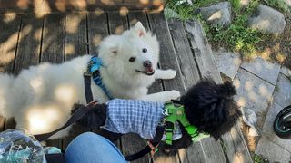 pie_chui님이 올린 리뷰 사진 4
