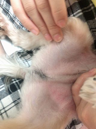 꿀님이 올린 리뷰 사진 4