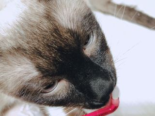 모닝스타님이 올린 리뷰 사진 3