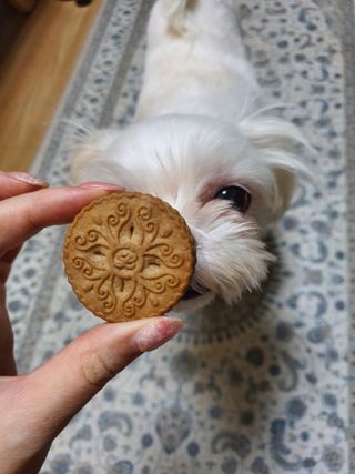 김고양이님이 올린 리뷰 사진 3