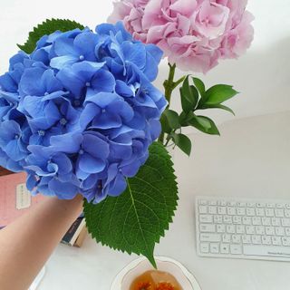 kyjnina님이 올린 리뷰 사진 4