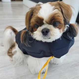 가루파랑님이 올린 리뷰 사진 2