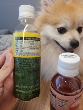 더그레잇티 콤부차 [매일유업] 더그레잇티 44kcal 콤부차 300ml *12개입 (오리지널 6개+베리리치 6개) — 5점을 준 리뷰어가 2023년 7월 올린 사용 사진
