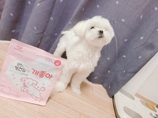 My Pet Care 천연단백질 관절건강에 개좋아 — 5점을 준 리뷰어가 2021년 1월 올린 사용 사진