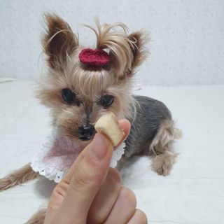 솜희님이 올린 리뷰 사진 2