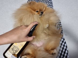 아롱이님이 올린 리뷰 사진 2