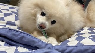 은희와정연님이 올린 리뷰 사진 4