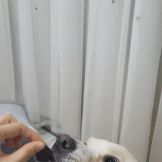 희비스커스님이 올린 리뷰 사진 4