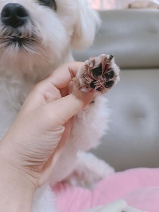 미진냥님이 올린 리뷰 사진 4