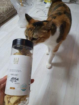 쮸동비님이 올린 리뷰 사진 2