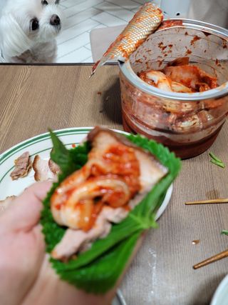 두부님이 올린 리뷰 사진 1
