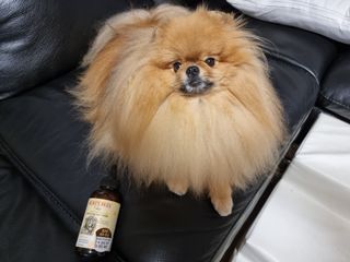 아롱이님이 올린 리뷰 사진 4