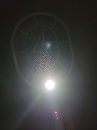 롱롱님이 올린 리뷰 사진 2