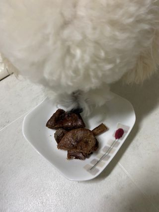 [졸리졸리]말 폐(HORSE LUNG) — 5점을 준 리뷰어가 2023년 2월 올린 사용 사진