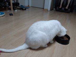 메밀님이 올린 리뷰 사진 3