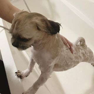 밍이님이 올린 리뷰 사진 3