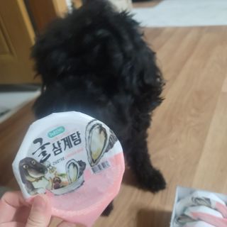 ❤꼬네우니🧡님이 올린 리뷰 사진 3