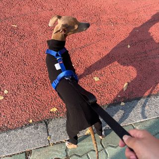 JeonEunju님이 올린 리뷰 사진 4