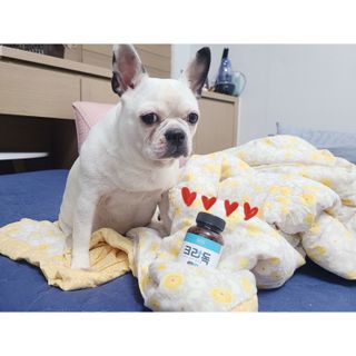 단발모리님이 올린 리뷰 사진 1