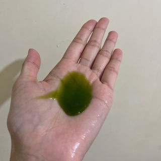 diddo님이 올린 리뷰 사진 2
