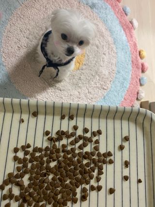 황방울이님이 올린 리뷰 사진 4