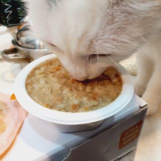 먕아냥해봐님이 올린 리뷰 사진 4