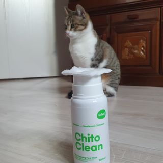 whol 키토클린 200ml - 항균항바이러스 강아지 눈 코 입 귀 세정탈취 고양이 턱드름제거 무향 워터리스 대용량 — 5점을 준 리뷰어가 2023년 2월 올린 사용 사진