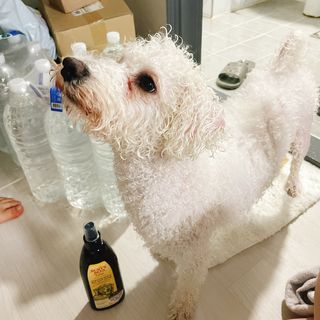 이이이잉ㅇ님이 올린 리뷰 사진 2