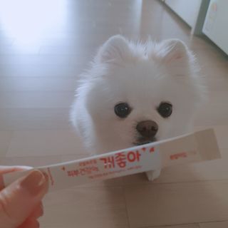 My Pet Care 모발과 모질 피부건강에 개좋아 — 4점을 준 리뷰어가 2020년 12월 올린 사용 사진
