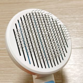 냐냐님이 올린 리뷰 사진 4