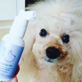 미니코코님이 올린 리뷰 사진 3