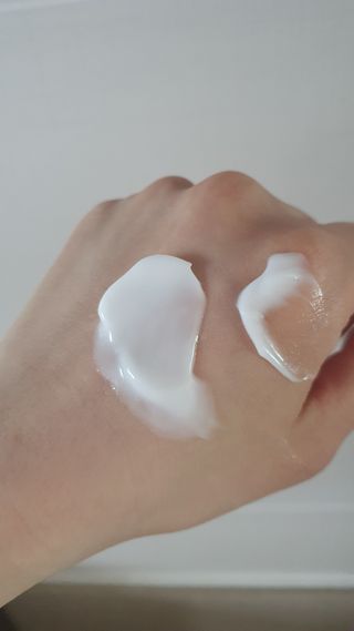 데이지맘님이 올린 리뷰 사진 4
