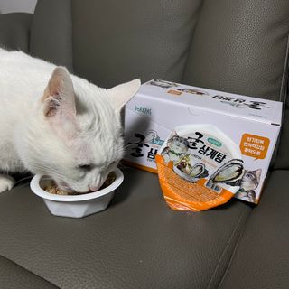 진만두님이 올린 리뷰 사진 3